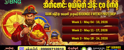 n52 vip အထူးခံစားခွင့်များ